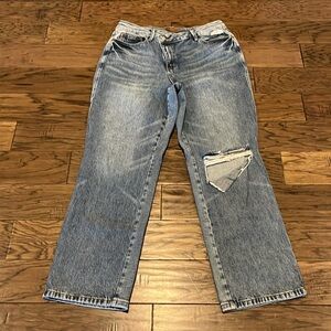 Judy Blue Dad Jean High Rise Size 16W